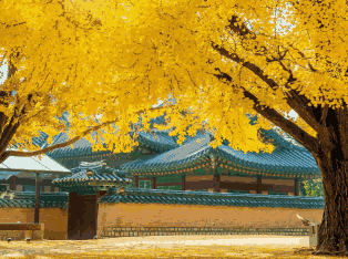 韩国外贸数据,外贸数据,豪门国际外贸数据