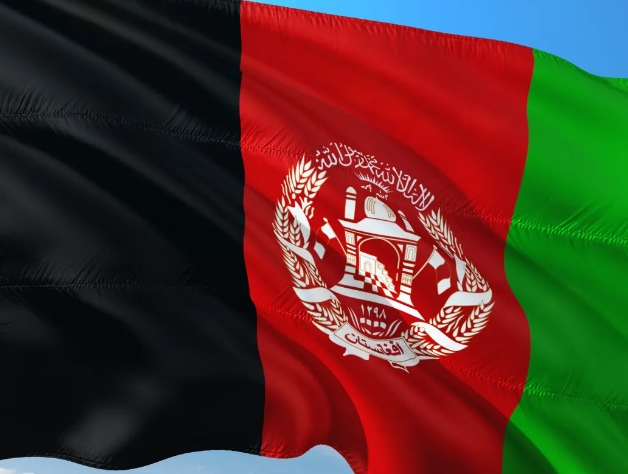 阿富汗海关数据查询平台（附免费试用查询）